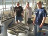 (08/21/2014) - Nice Striped Bass